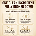 Complebio  Collagen Peptides Powder